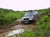 IMG_4750 IMG_4750