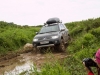 IMG_4774 IMG_4774