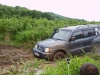 IMG_4806 IMG_4806