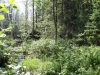 IMG_1835.jpg