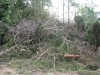 IMG_1857.jpg