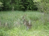 IMG_1864.jpg