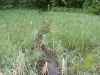 IMG_1867.jpg
