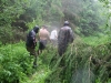 IMG_1892.jpg