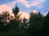 IMG_2004.jpg