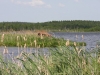 IMG_2107.jpg