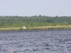 IMG_2113.jpg