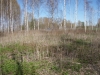 P5060109.JPG