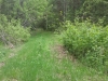20150523_131805