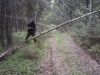 20150524_151626