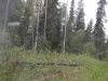 20150524_164747