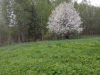 20150524_171709