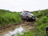 IMG_4781 IMG_4781
