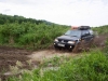 IMG_4787 IMG_4787