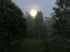 BD209D03-6A44-4275-9CCF-42762F674750