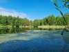 IMG-20220614-WA0008