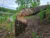 IMG-20220614-WA0022