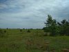 IMG_20220613_134736